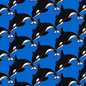 Killer Whales