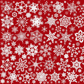 Snowcatcher Crochet Red
