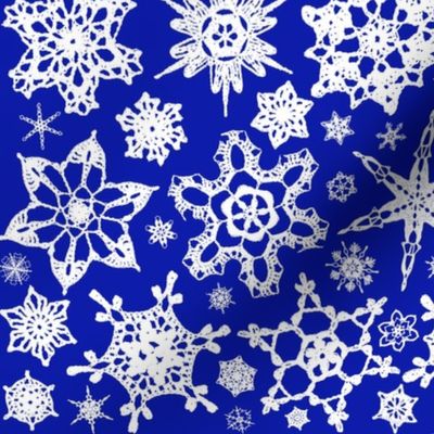 Snowcatcher Crochet Blue