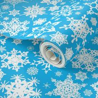 Snowcatcher Crochet Turquoise