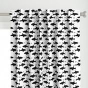 sharks attack minimal chevron black and white design 