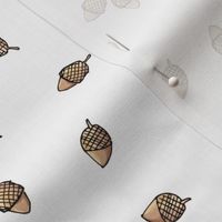 Illustrated Acorns