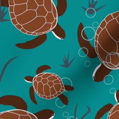 Swimming Sea Turtles