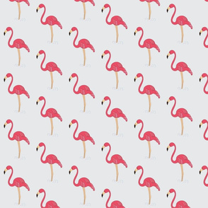 Flamingo struktur