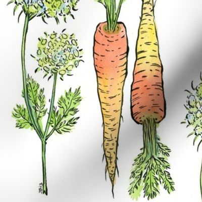 Botanical Carrot