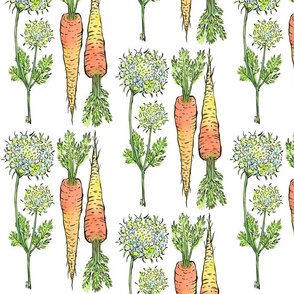 Botanical Carrot