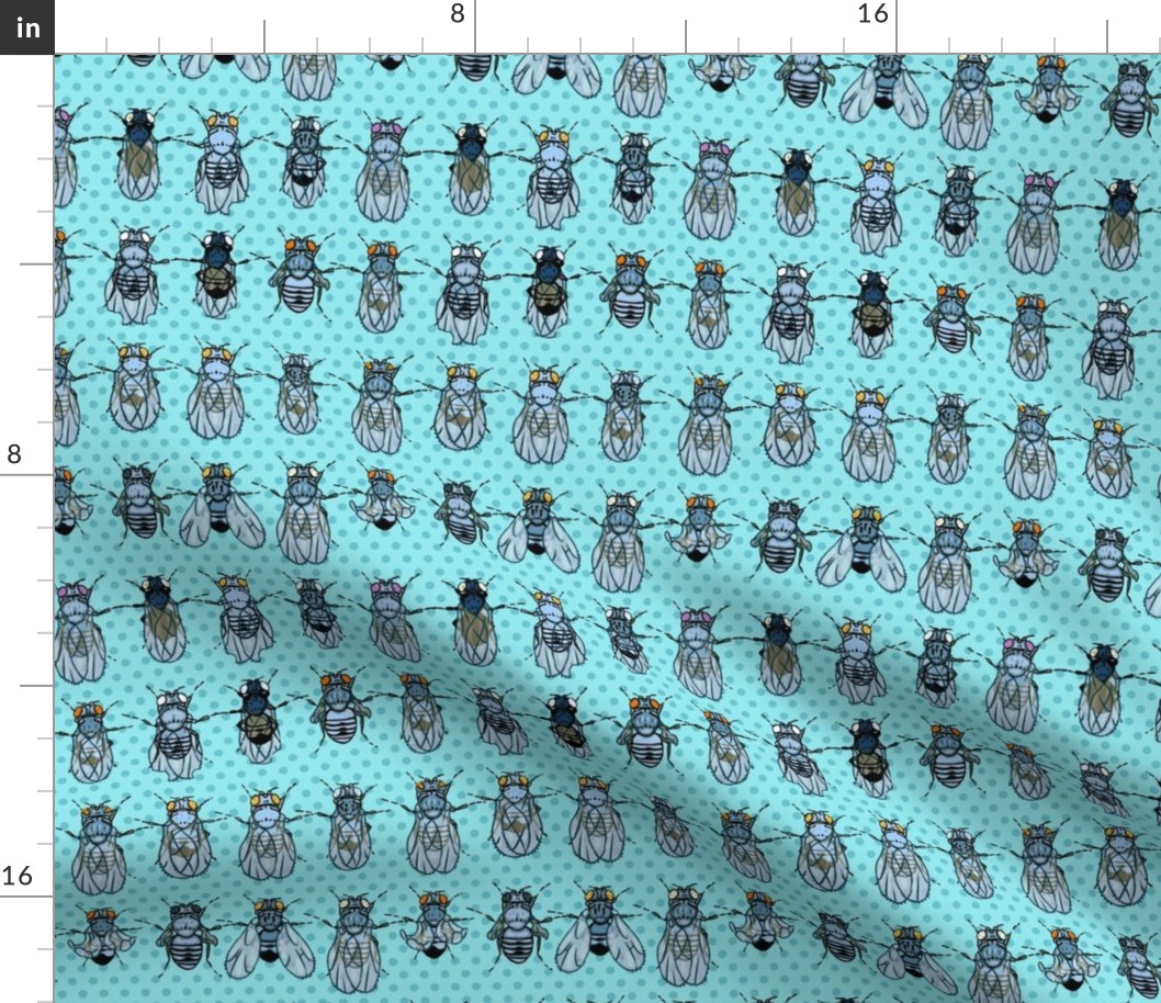 Drosophila Mutants Turquoise