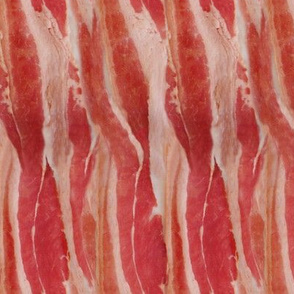 361183-bacon-bacon-bacon-feorlen-bacon-by-vo_aka_virginiao