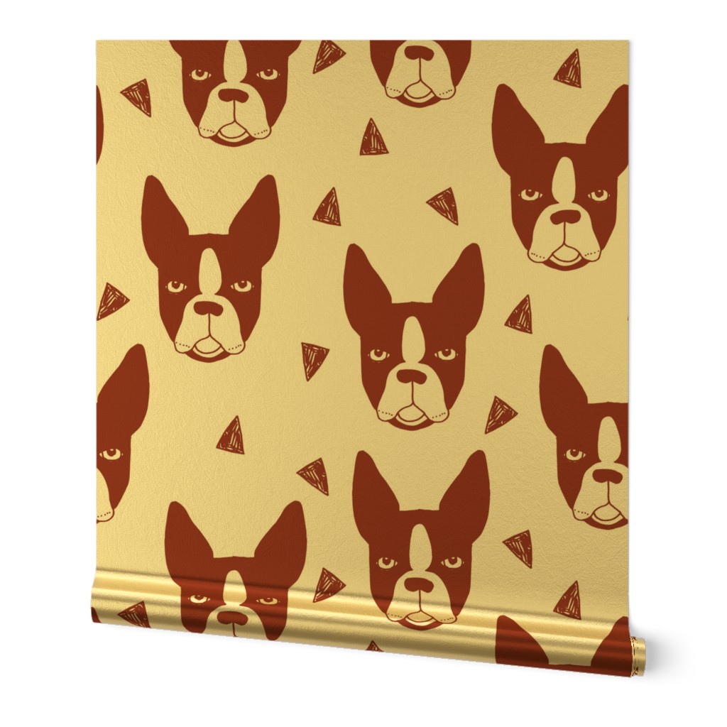 boston terriers // boston terrier cute dog red fabric dogs dog breed