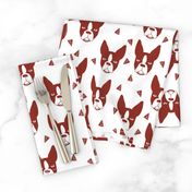 boston terriers // boston terrier cute dog red fabric dogs dog breed