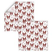 boston terriers // boston terrier cute dog red fabric dogs dog breed