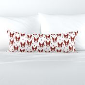boston terriers // boston terrier cute dog red fabric dogs dog breed