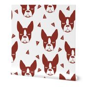 boston terriers // boston terrier cute dog red fabric dogs dog breed