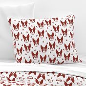 boston terriers // boston terrier cute dog red fabric dogs dog breed