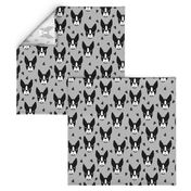 boston terrier // grey boston terrier dog cute pet dog breed fabric