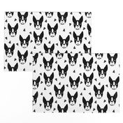 boston terrier // boston terrier dog black and white illustration