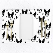 boston terrier // boston terrier dog black and white illustration