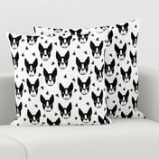 boston terrier // boston terrier dog black and white illustration