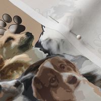 aussies and pawprints