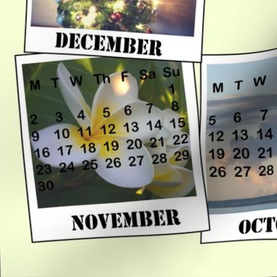 Southern Herimsphere Photo Calendar Teatowel
