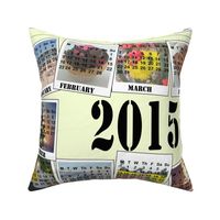 Southern Herimsphere Photo Calendar Teatowel