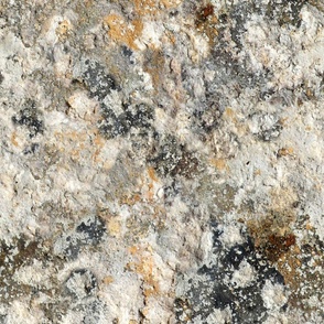 Solnhofen Limestone