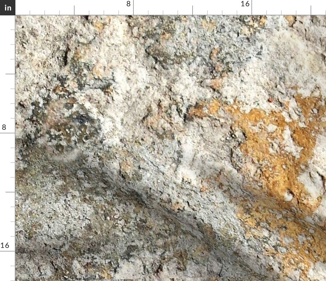 Solnhofen Limestone