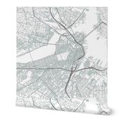 Boston grey city streets fabric 18x18"