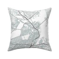 Boston grey city streets fabric 18x18"