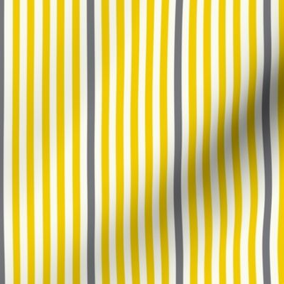 Yellow Gray Coordinator Stripe