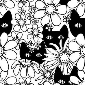 Black Cats in Daisies