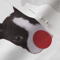 Boston Terrier Dog Christmas