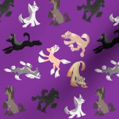 Chinese Crested Fabric - Royal Purple