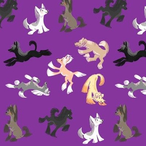 Chinese Crested Fabric - Royal Purple