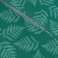ferns in spruce green