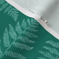 ferns in spruce green