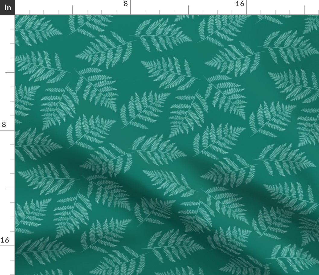 ferns in spruce green