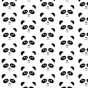 panda black and white