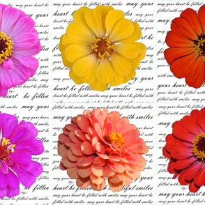 Zinnia Pillows - Six Colors