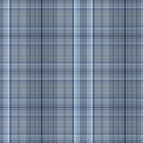 Spinal Plaid