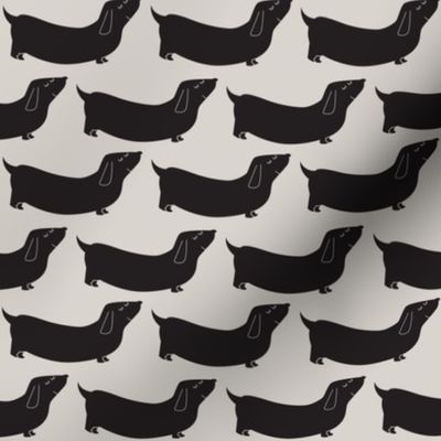 dachsunds dogs black grey