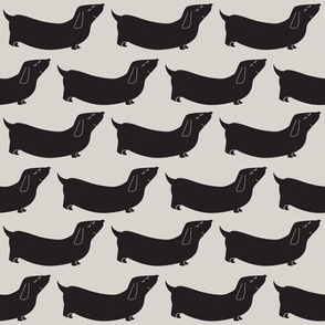 dachsunds dogs black grey