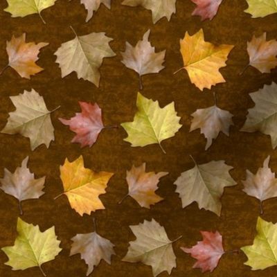 Fallen Leaves