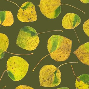 life-sized aspen leaves on bracken green