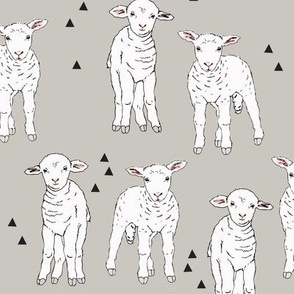 Sheep Light Grey