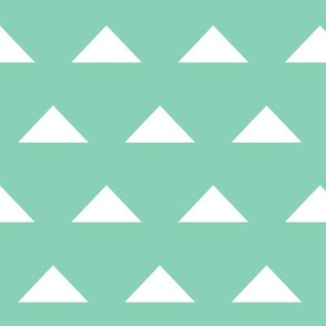 Triangles - Mint and White by Andrea Lauren 
