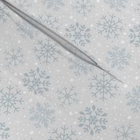Wintery Silver Snowflakes