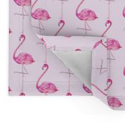 flamingo in pink