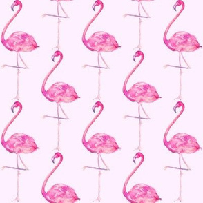 flamingo in pink
