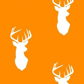 buck on orange